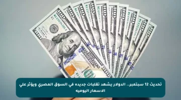 تحديث 12 سبتمبر.. الدولار يشهد تقلبات جديدة في السوق المصري ويؤثر على الأسعار اليومية
